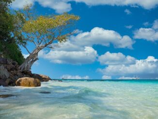 9. Tomuk'ta Deniz ve Plajlar